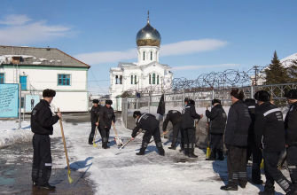 колония северная звезда