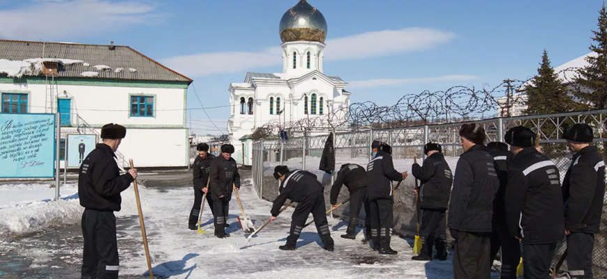колония северная звезда